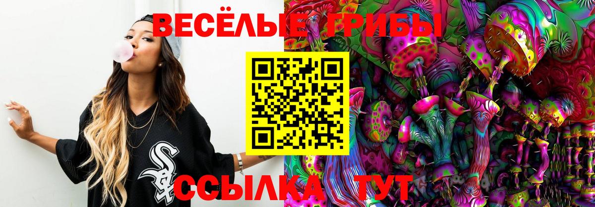 Галлюциногенные грибы Psilocybine cubensis Елец