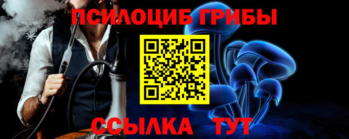 Галлюциногенные грибы GOLDEN TEACHER  Псилоцибиновые грибы Psilocybine cubensis  Вход с VPN  Елец 